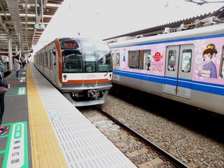 elephas秋川