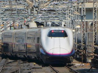 elephas秋川