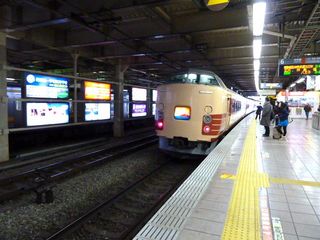 elephas秋川