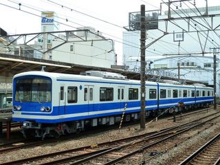 elephas秋川