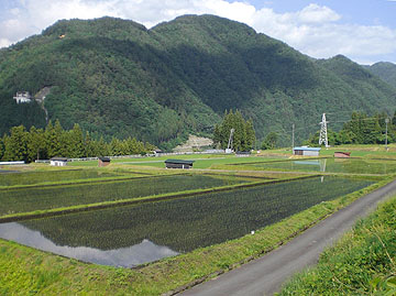 selmo国分寺西元町教室