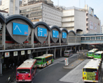 tofleseminar立川校留学部門